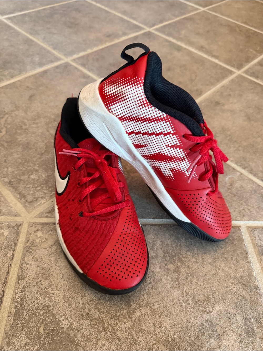 Nike Kids Team Hustle Quick 2 GS Red and White Low-Top Sneakers